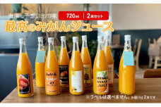 [№5533-0388]海津っ子の想い出の味　最高のみかんジュース　2本セット