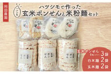 [№5533-0392]岡田農園のハツシモで作った玄米ポンせんと米粉麺