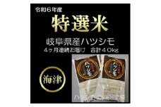 [№5533-0406]【4ヵ月連続でお届け】精米ハツシモ5kg×2袋(合計40kg) 米 お米 精米 ハシツモ 4回 定期便 岐阜 海津市