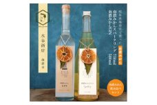 [№5533-0404]南濃みかんスパークリングワイン750ml＆南濃みかんGIN500ml ワイン スパークリングワイン ジン 酒 お酒 セット 南濃みかん 水谷酒店 岐阜 海津市