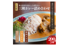 [№5533-0409]オリジナルご当地三種カレー詰め合わせ (南濃みかん・バターチキンカレー・鹿肉トマト) カレー ご当地カレー 詰め合わせ セット 岐阜 海津市