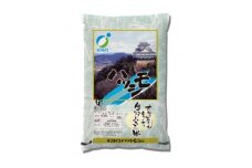 岐阜県産ハツシモ5kg【1326631】