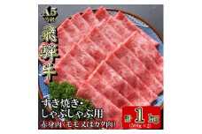 [A5等級]飛騨牛赤身肉スライス1kg　モモ又はカタ肉【1445791】