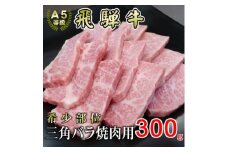 [希少部位]A5等級飛騨牛三角バラ焼肉用300g【1445729】