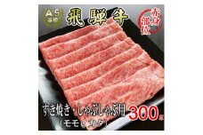 [A5等級]飛騨牛赤身肉スライス300g　モモ又はカタ肉【1445788】