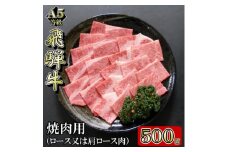 [A5等級]飛騨牛焼肉用500g　ロース又は肩ロース肉【1445787】