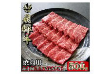 [A5等級]飛騨牛赤身肉焼肉用500g　モモ又はカタ肉【1445792】