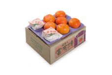 富有柿(B)約6.6kg　L～4Lサイズ×16個～28個【1247470】