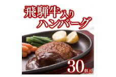 飛騨牛入りハンバーグ30個セット【1304879】
