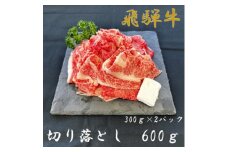 飛騨牛切り落とし300g×2パック【1507965】