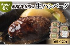 わさび香る飛騨牛生ハンバーグ　　120g×5個【1509933】