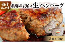 飛騨牛100%生ハンバーグ　120g×5個【1519624】