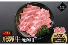 A5等級飛騨牛:焼肉用600g　ロース又は肩ロース肉【1538010】