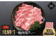 A5等級飛騨牛:焼肉用300g　ロース又は肩ロース肉【1538414】