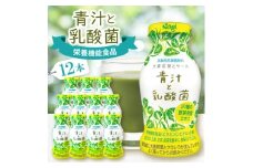 青汁と乳酸菌　12本セット【1664199】