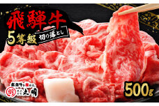 飛騨牛5等級　切り落とし用途いろいろ　500g_ 飛騨牛 肉 黒毛和牛 国産牛 ブランド牛 霜降り 牛肉 牛 にく ニク すきやき すき焼き しゃぶしゃぶ 牛丼 切り落し 切り落とし 国産 ギフト プレゼント 冷凍 【1034745】