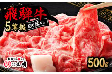 飛騨牛5等級　切り落とし用途いろいろ　500g_ 飛騨牛 肉 黒毛和牛 国産牛 ブランド牛 霜降り 牛肉 牛 にく ニク すきやき すき焼き しゃぶしゃぶ 牛丼 切り落し 切り落とし 国産 ギフト プレゼント 冷凍 【1034745】