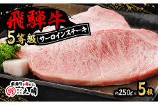 飛騨牛5等級　サーロインステーキ　約250g×5枚【1043511】