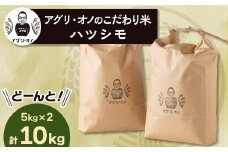 令和6年産 アグリ・オノのこだわり米　ハツシモ　10kg(5kg×2)【1101640】