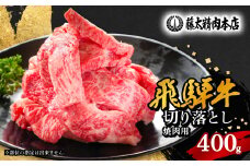 ＜飛騨牛＞切り落し焼肉用＜400g/岐阜県産＞【1107365】