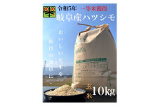 令和6年産　岐阜ハツシモ　10kg　玄米【1148641】
