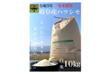 令和6年産　岐阜ハツシモ　10kg　精米【1148640】