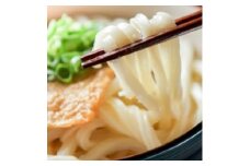 ＜糖質オフ 50%＞低糖質麺 うどん 2700g(約27人前)【1256465】