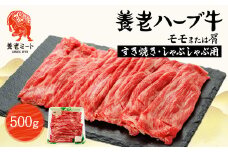 養老ハーブ牛　モモまたは肩　すき焼き・しゃぶしゃぶ両用　500g【1273629】