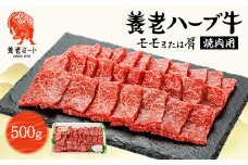 養老ハーブ牛　モモまたは肩　焼肉用　500g【1273630】