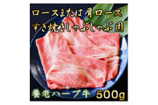 養老ハーブ牛　ロースまたは肩ロース　すき焼き・しゃぶしゃぶ両用　500g【1273632】