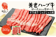 養老ハーブ牛　ロースまたは肩ロース　すき焼き・しゃぶしゃぶ両用　500g【1273632】