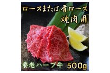 養老ハーブ牛　ロースまたは肩ロース　焼肉用　500g【1273633】
