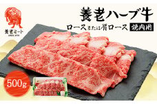 養老ハーブ牛　ロースまたは肩ロース　焼肉用　500g【1273633】