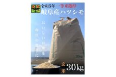 令和6年産　岐阜ハツシモ　30kg 　玄米【1361855】