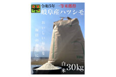令和6年産　岐阜ハツシモ　30kg　白米【1361880】