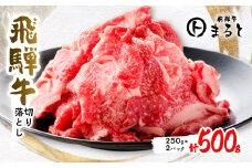 ＜飛騨牛＞　切り落とし　500g入り(250g×2)【1418309】