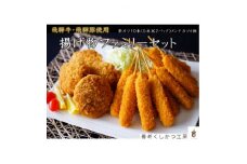 飛騨牛・飛騨豚使用　揚げ物ファミリーセット【1433464】