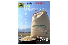 令和6年産　岐阜ハツシモ(旧品種)　5kg　玄米【1459559】