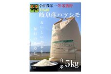 令和6年産　岐阜ハツシモ(旧品種)　5kg　白米【1460021】