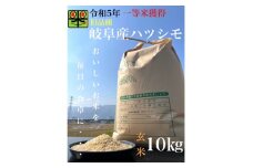 令和6年産　岐阜ハツシモ(旧品種)　10kg　玄米【1460330】
