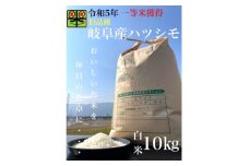 令和6年産　岐阜ハツシモ(旧品種)　10kg　白米【1460333】
