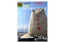 令和6年産　岐阜ハツシモ(旧品種)　30kg 白米【1460336】