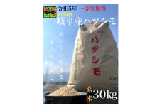 令和6年産　岐阜ハツシモ(旧品種)　30kg 玄米【1460335】