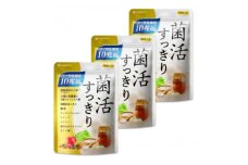 乳酸菌サプリメント ナノ型乳酸菌10兆個&ビフィズス菌配合 菌活すっきり 3袋(3ヶ月分)【1495262】