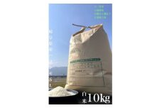 ＜毎月定期便＞養老町産　岐阜ハツシモ　10kg　白米　全3回【4006203】