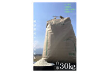 ＜毎月定期便＞養老町産　岐阜ハツシモ　30kg　白米　全3回【4006205】