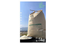 ＜毎月定期便＞養老町産　岐阜ハツシモ　5kg　白米　全6回【4006206】