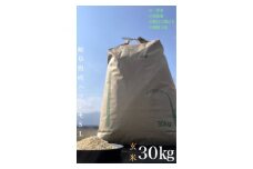 ＜毎月定期便＞養老町産　岐阜ハツシモ　30kg　玄米　全6回【4006209】