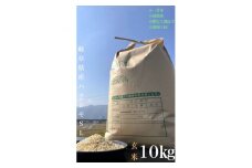 ＜毎月定期便＞養老町産　岐阜ハツシモ　10kg　玄米　全3回【4006235】