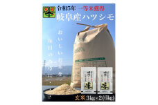 岐阜県養老町産　令和5年産　岐阜ハツシモSL　玄米　3kg×2【1498740】